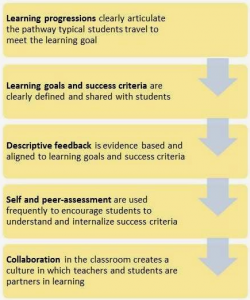 Using the Formative Assessment Process With Teachers to Improve Instructional Practice – Dan Fowler